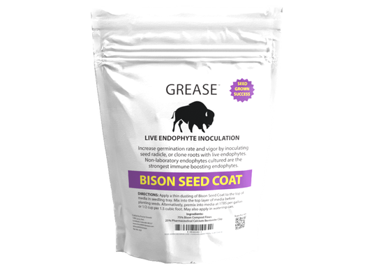 Bison Seed Coat * Endophytes