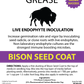 Bison Seed Coat * Endophytes