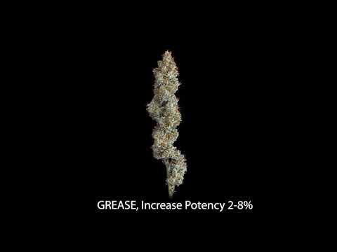  Grease Gold Label, Grease Nutrients, Grow With Grease